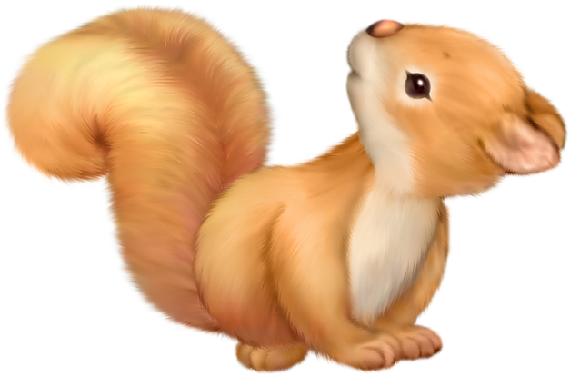 Adorable Cartoon Squirrel PNG image