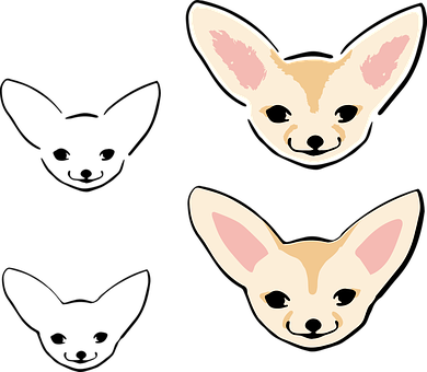 Adorable Chihuahua Faces Illustration PNG image