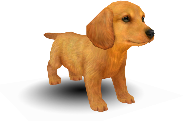 Adorable Dachshund Puppy Graphic PNG image