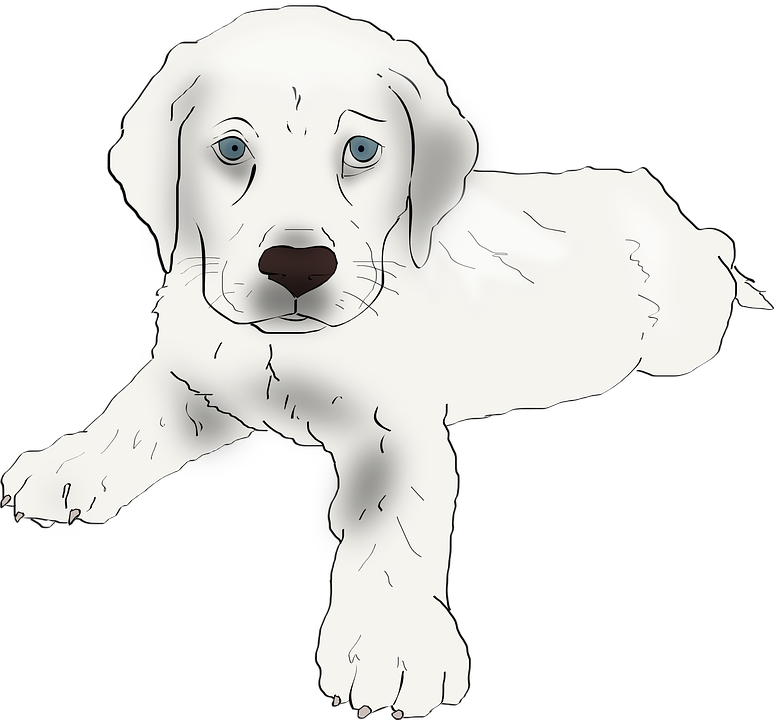 Adorable Labrador Puppy Illustration PNG image
