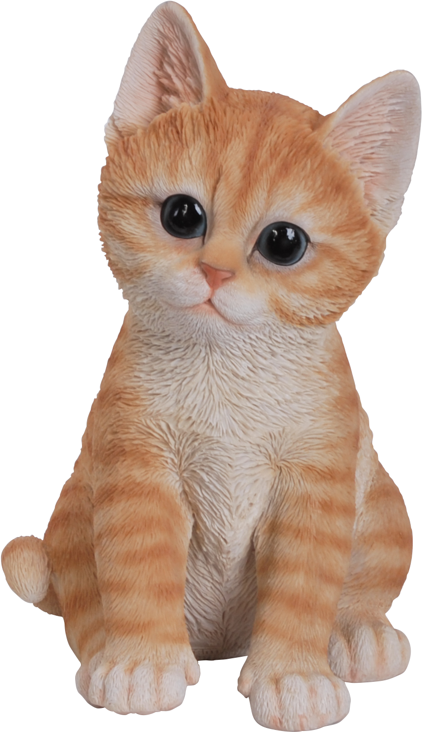 Adorable Orange Kitten Plush PNG image