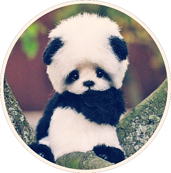 Adorable_ Panda_ Plush_ Toy PNG image