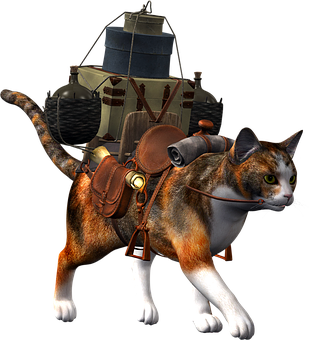 Adventure Ready Catwith Backpack PNG image