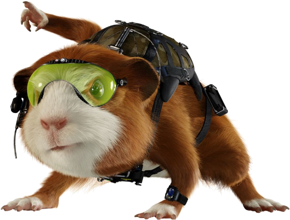 Adventure Ready Guinea Pig PNG image