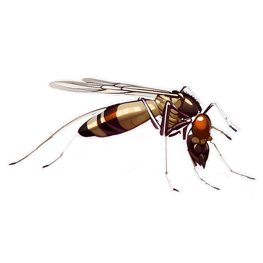 Aedes Mosquito Png 37 PNG image