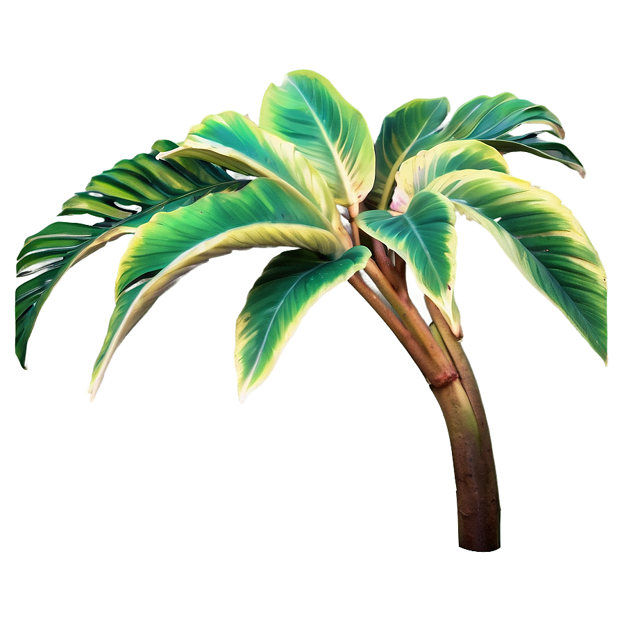 Aesthetic Tropical Plant Png 06272024 PNG image