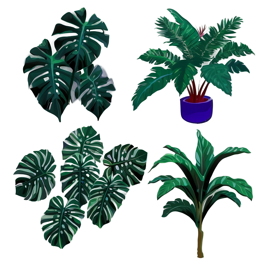 Aesthetic Tropical Plants Png Omu28 PNG image