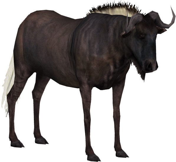 African Buffalo Standing Profile PNG image