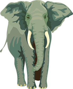 African Elephant Illustration PNG image