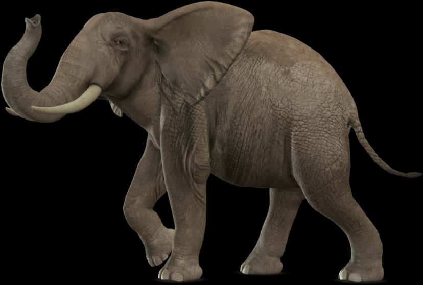 African Elephant Walking Isolated Background PNG image