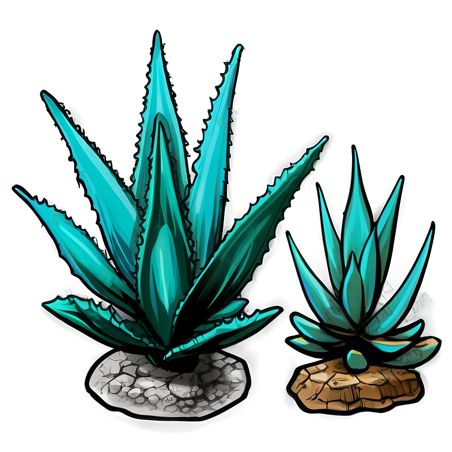 Agave Plant Sketch Png 06282024 PNG image