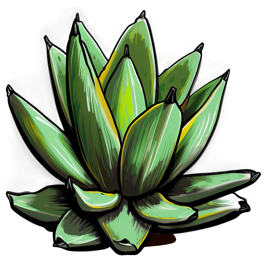 Agave Plant Sketch Png Kbn84 PNG image