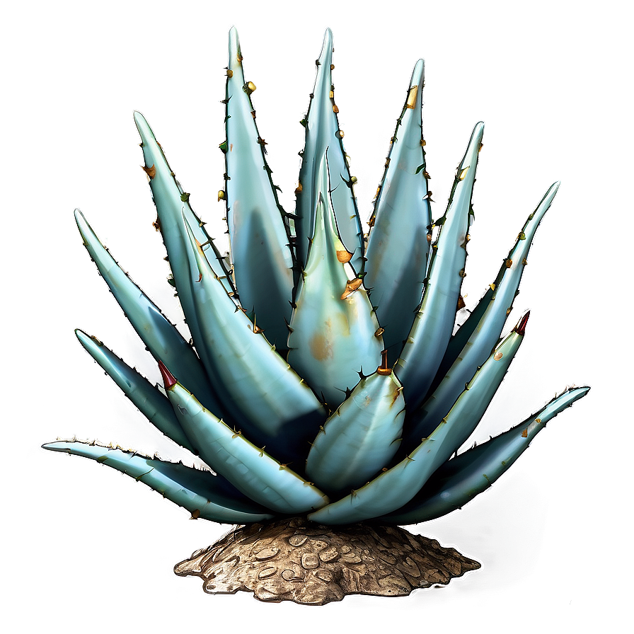 Agave Plant With Thorns Png 06282024 PNG image