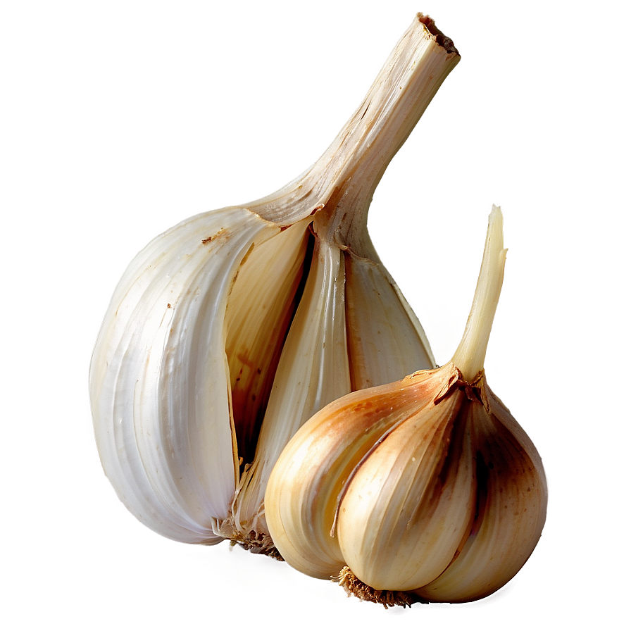 Aged Garlic Png 19 PNG image