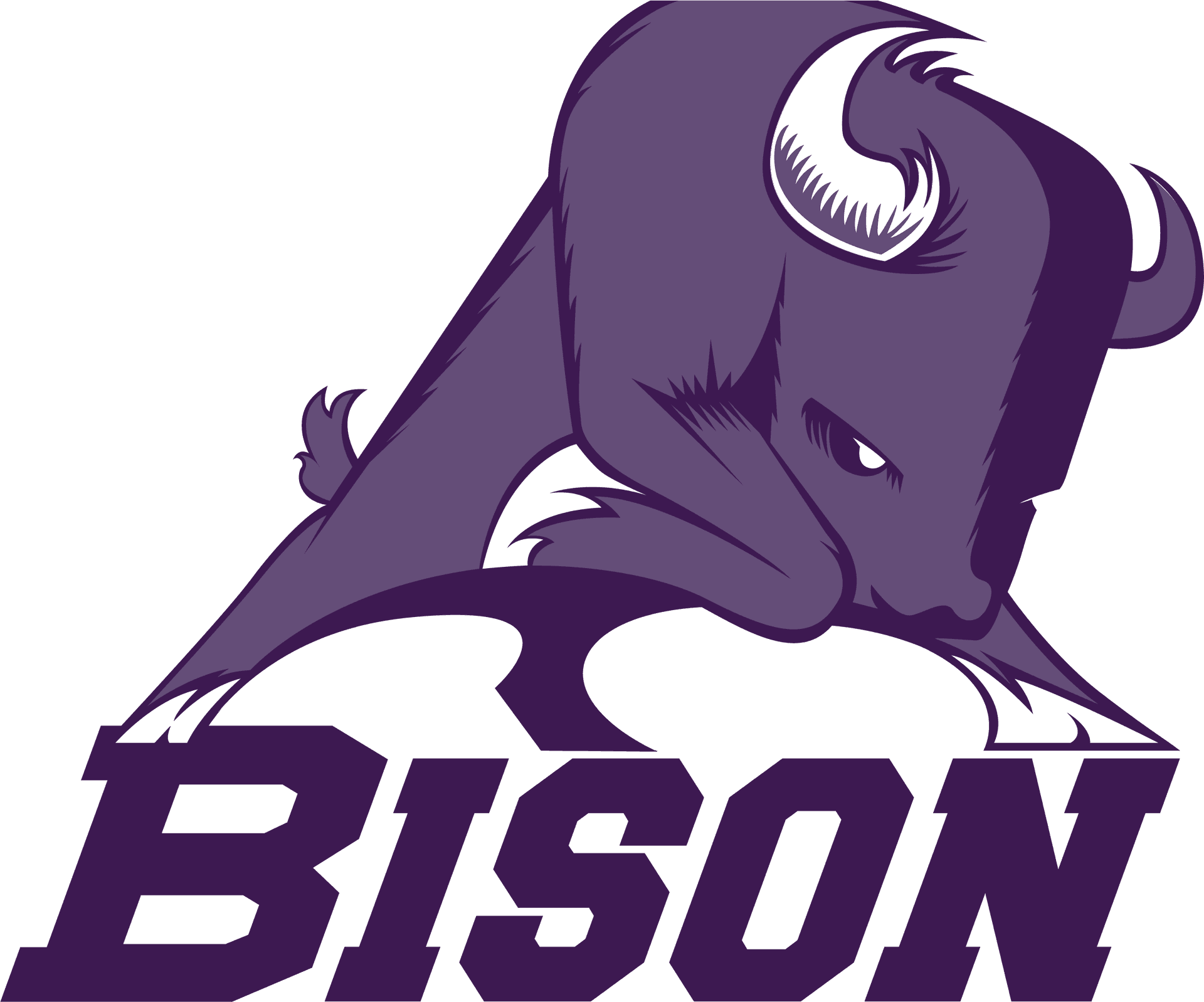 Aggressive Bison Mascot Logo PNG image