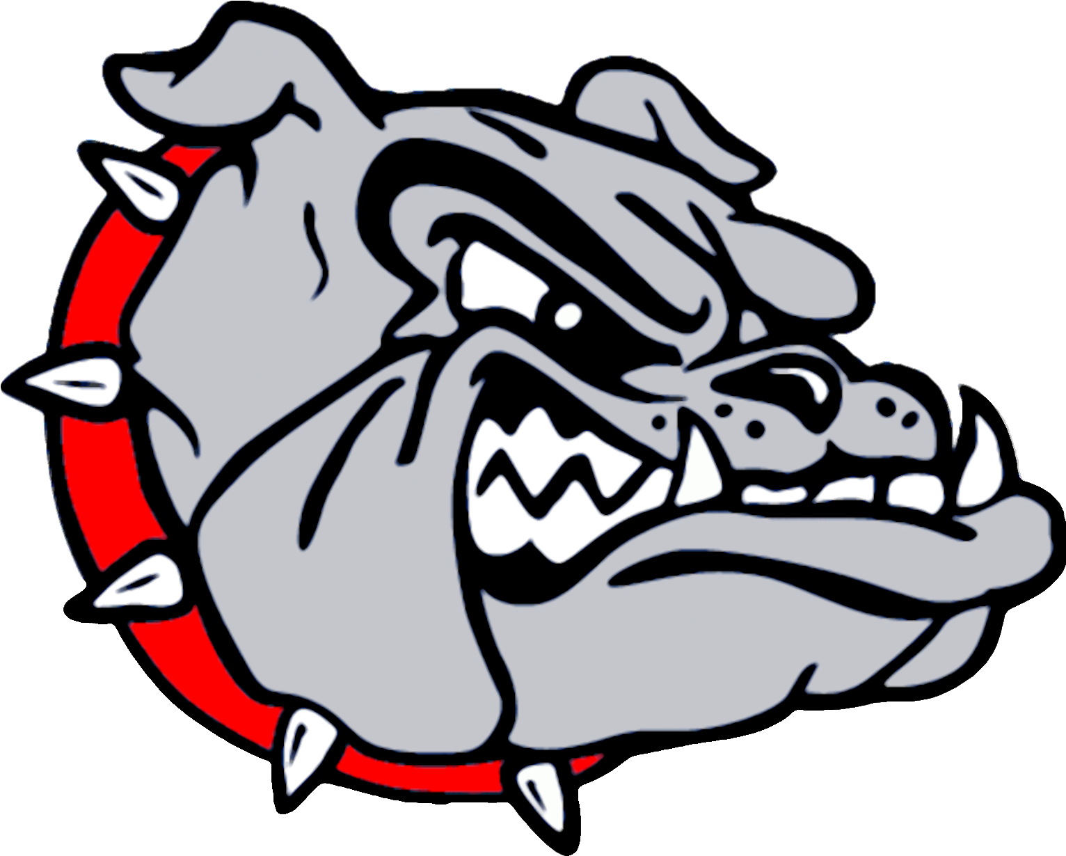 Aggressive Bulldog Cartoon PNG image