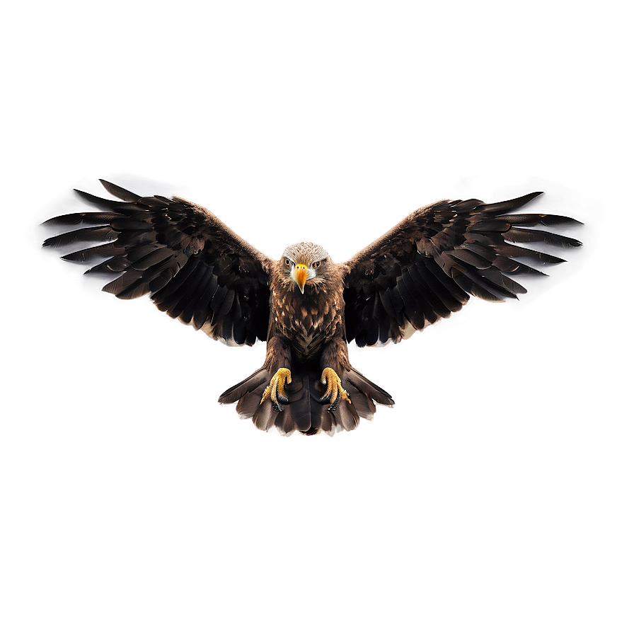 Aguila Wallpaper Png Rpj PNG image