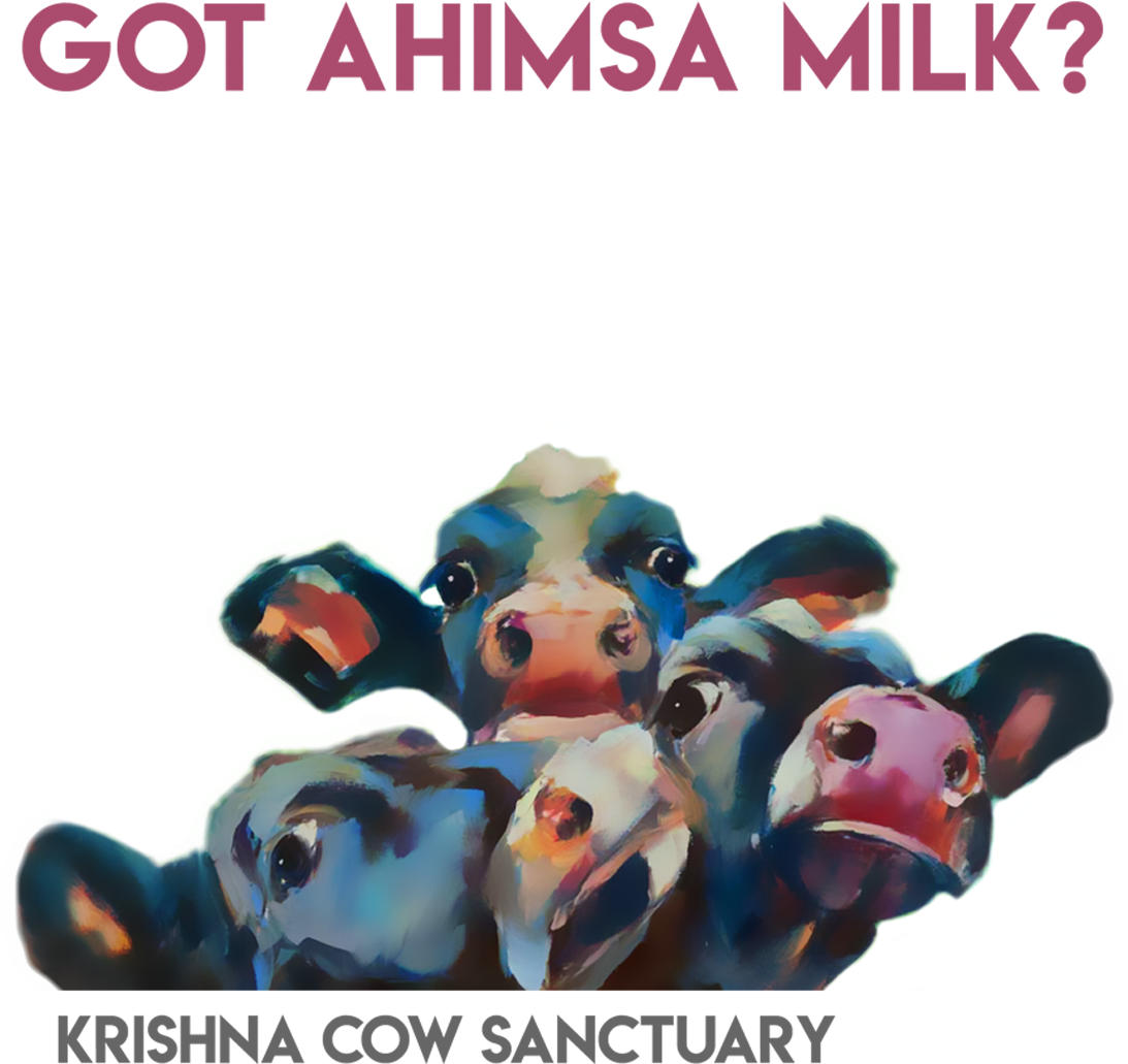 Ahimsa Milk Campaign Cows PNG image