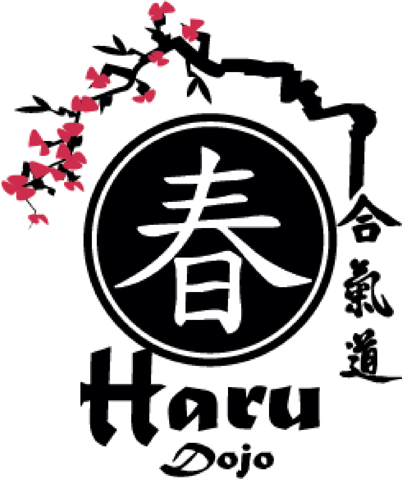 Aikido Haru Dojo Logo PNG image