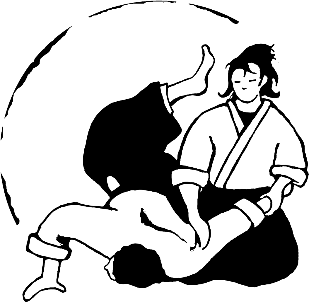 Aikido Technique Illustration PNG image