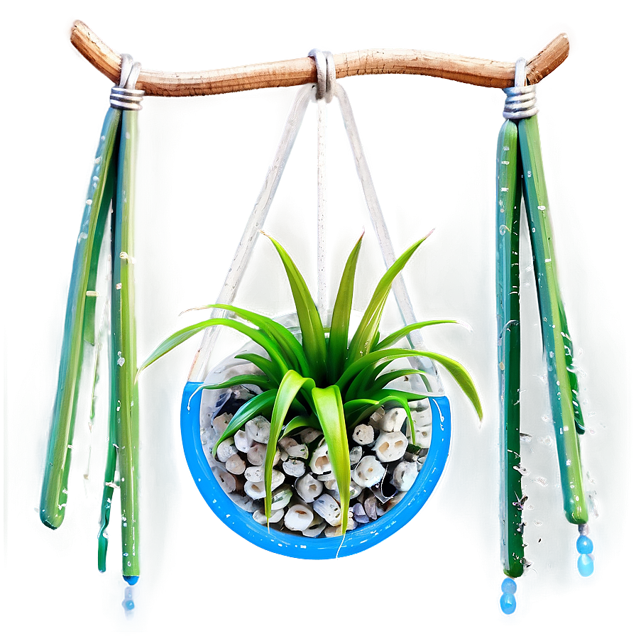 Air Plant Hanging Png Vcb PNG image