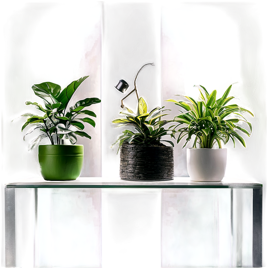 Air Purifying Indoor Plants Png 59 PNG image