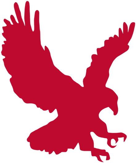 Albanian Eagle Silhouette PNG image