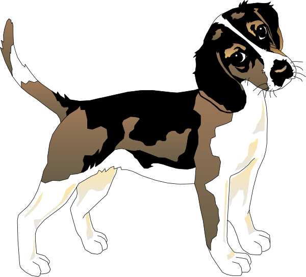 Alert Beagle Standing Vector PNG image
