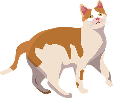 Alert Calico Cat Illustration PNG image