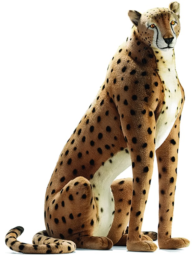 Alert Cheetah Sitting Transparent Background.png PNG image