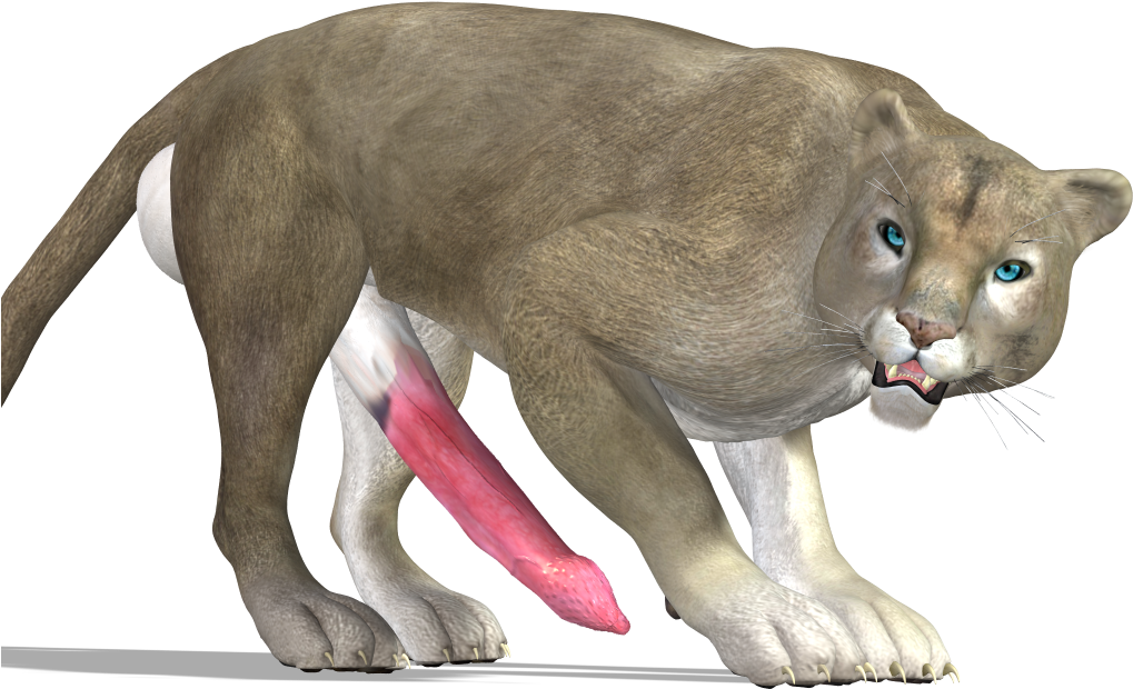 Alert Cougar With Injured Leg PNG image