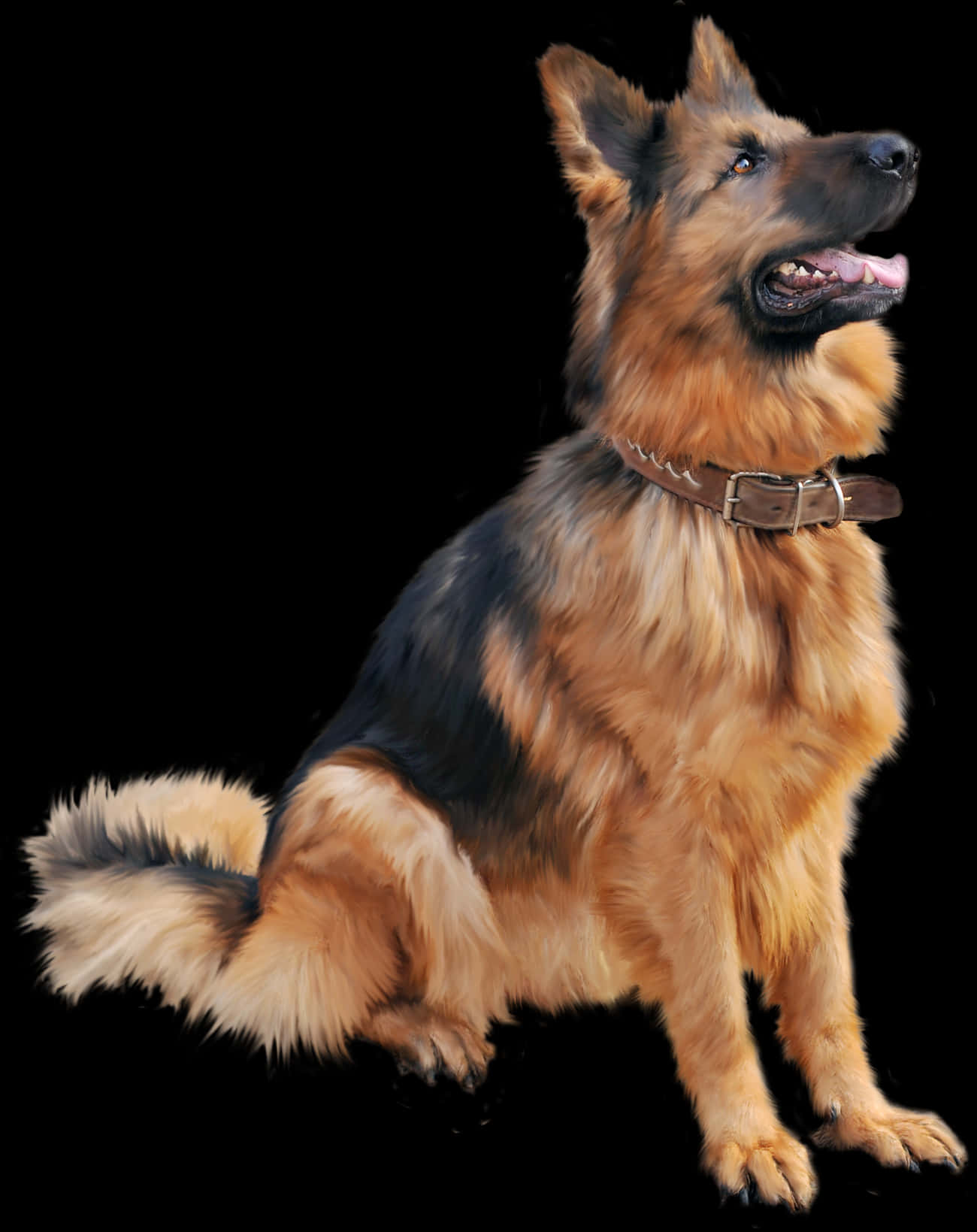 Alert German Shepherd Dog PNG image