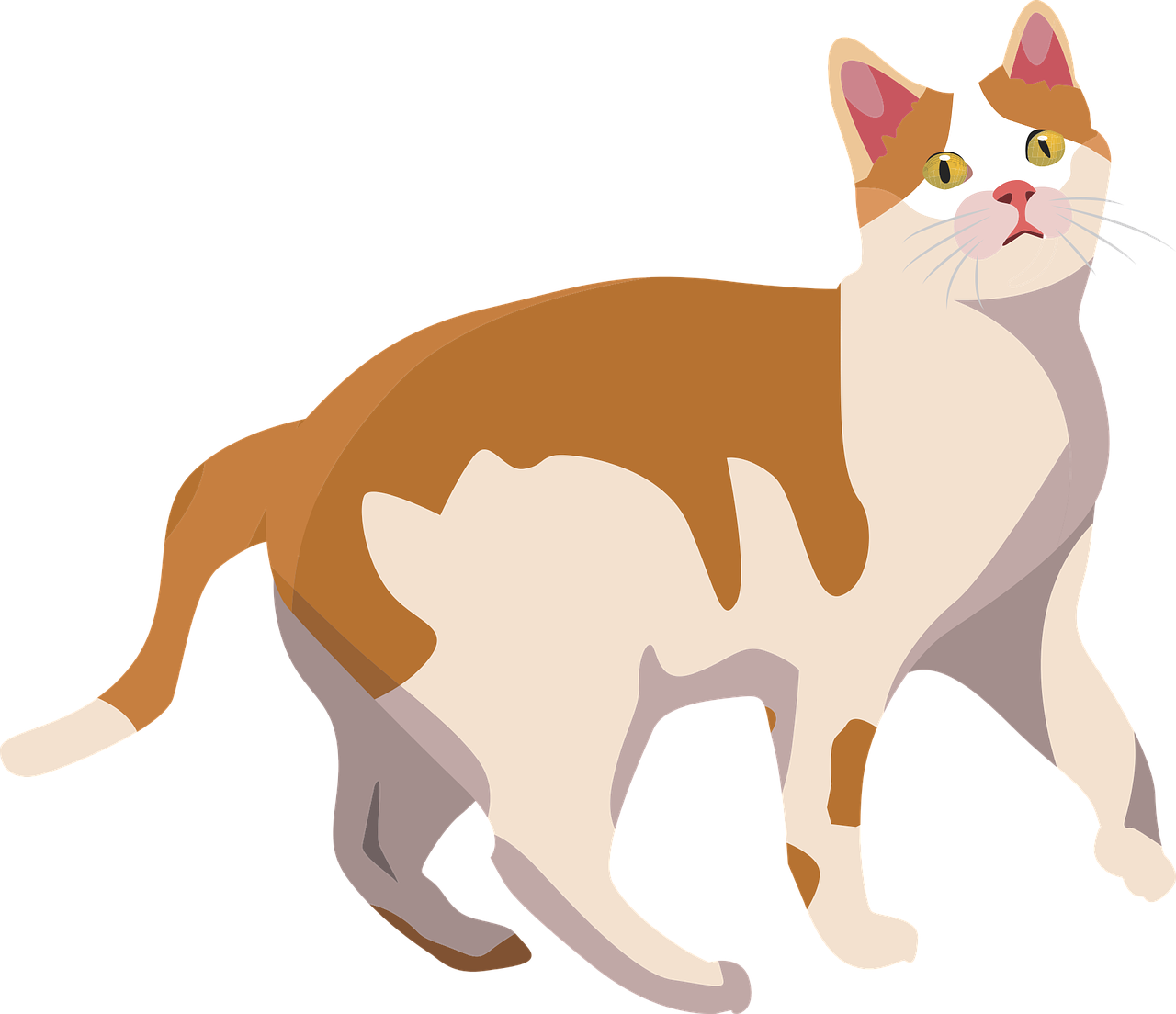 Alert Orangeand White Cat Illustration.png PNG image