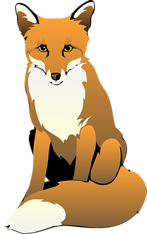 Alert Red Fox Illustration PNG image