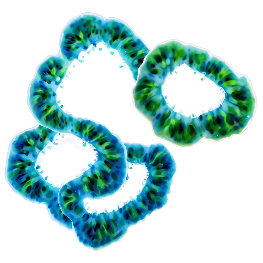 Algae B PNG image