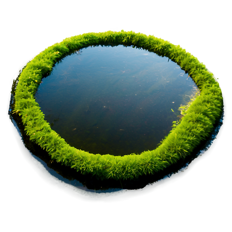 Algae In Pond Png 46 PNG image