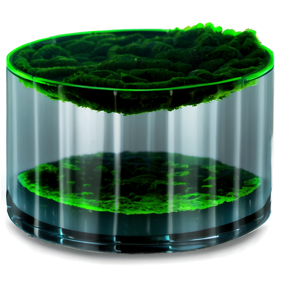 Algae In Water Tank Png Hgv PNG image