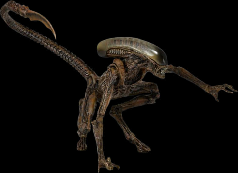 Alien Creature Profile PNG image
