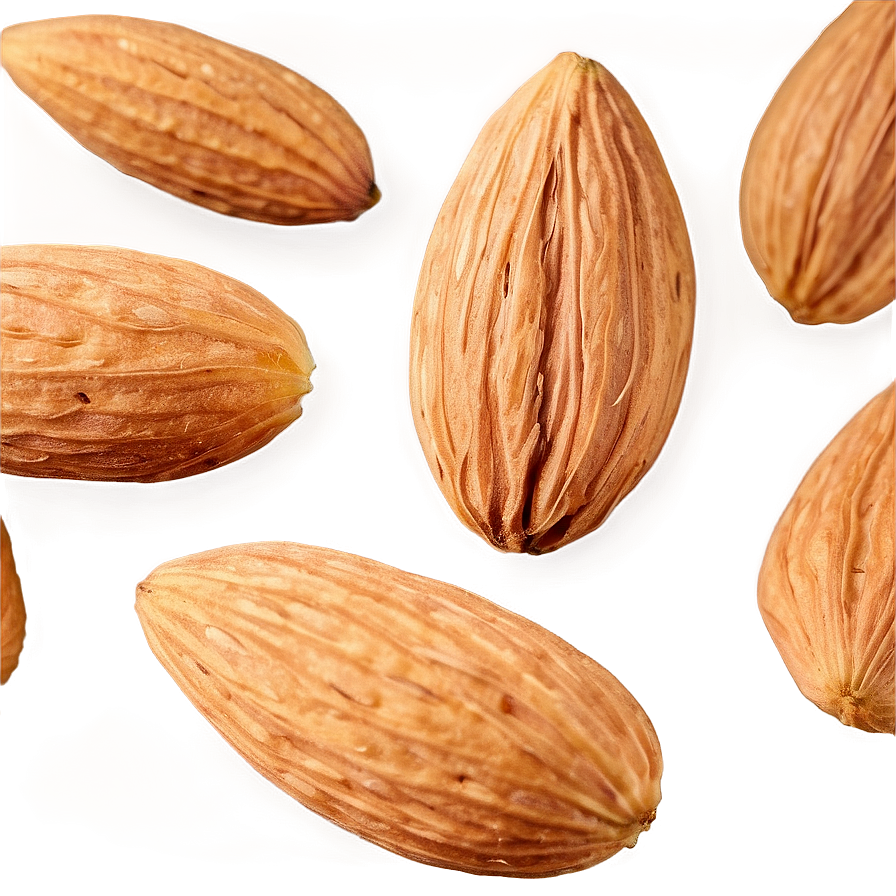 Almond Close-up Png Fkl37 PNG image