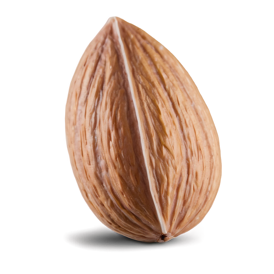 Almond Close-up Png Rbn86 PNG image