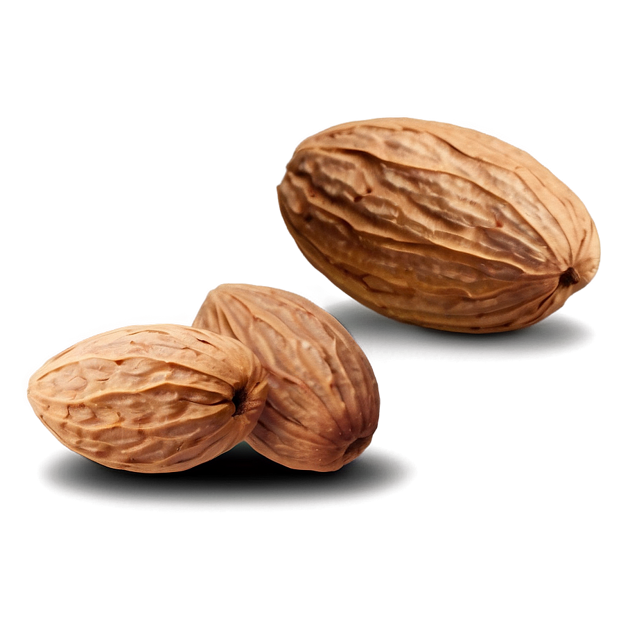 Almond Drawing Png 74 PNG image