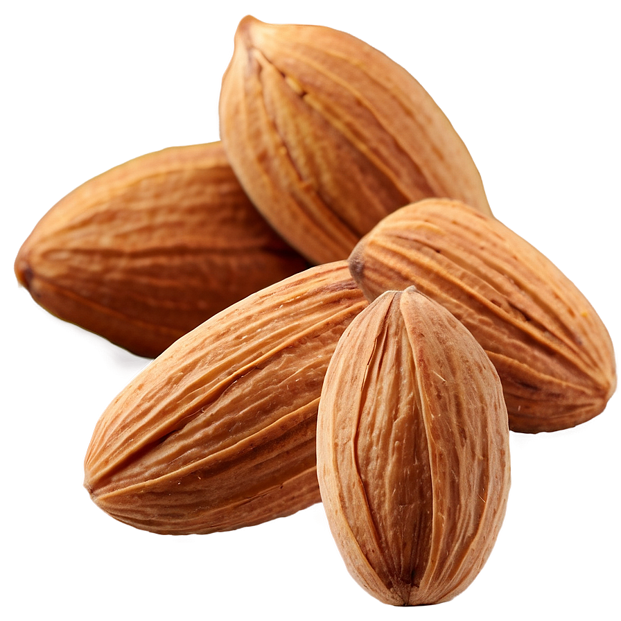 Almond Group Png 05242024 PNG image