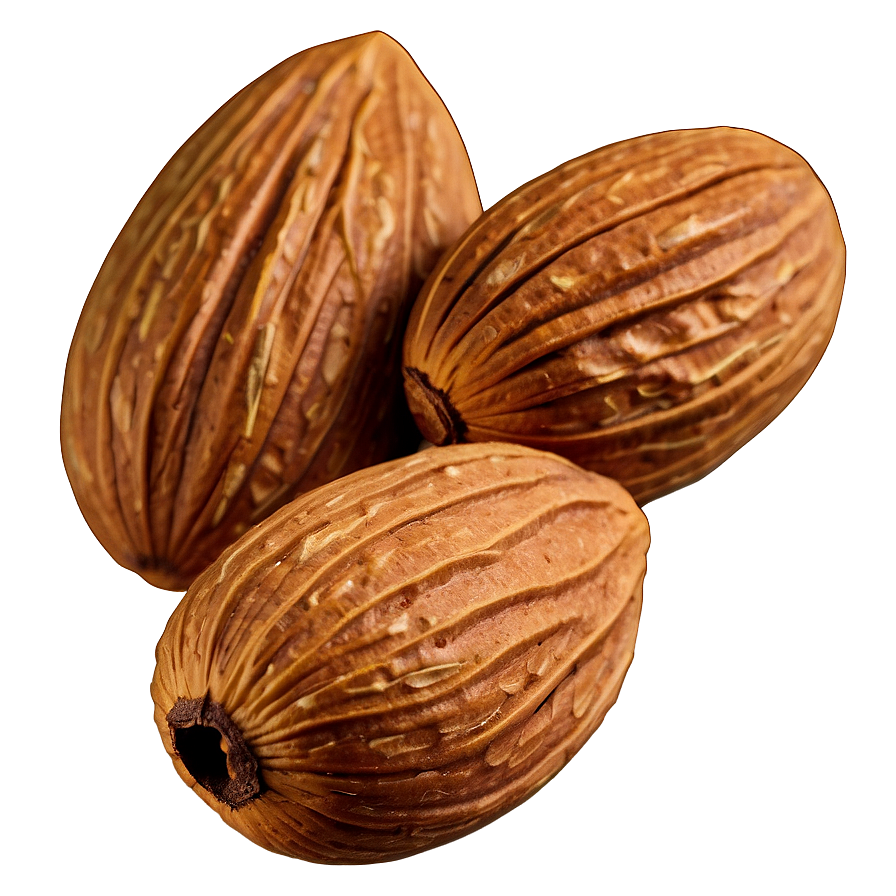 Almond Kernel Png Sjc87 PNG image