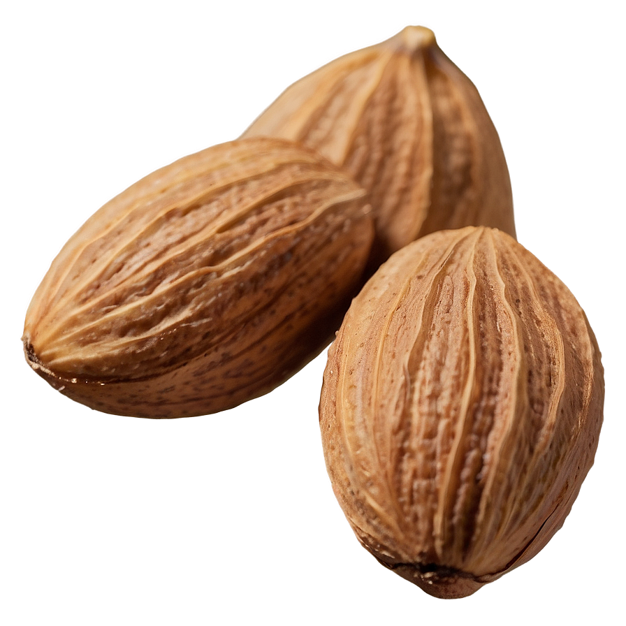 Almond Nut Png 06122024 PNG image