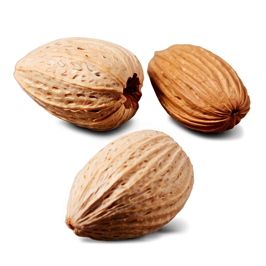 Almond Nut Png Ayl PNG image