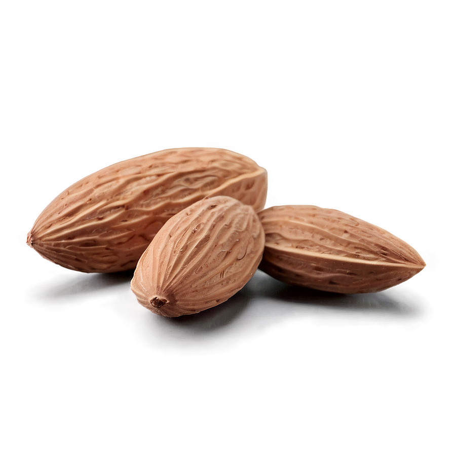 Almond Nut Png Fyy PNG image