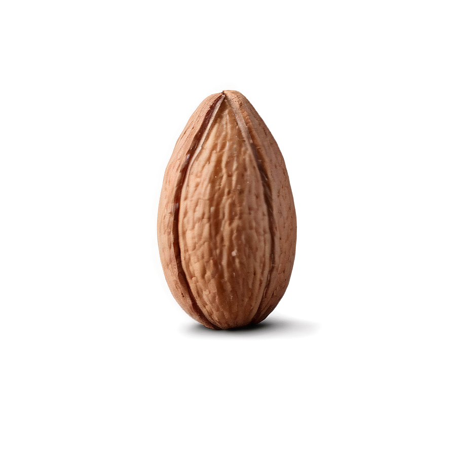 Almond On White Png 05242024 PNG image