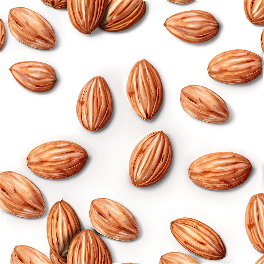 Almond Pattern Png 86 PNG image