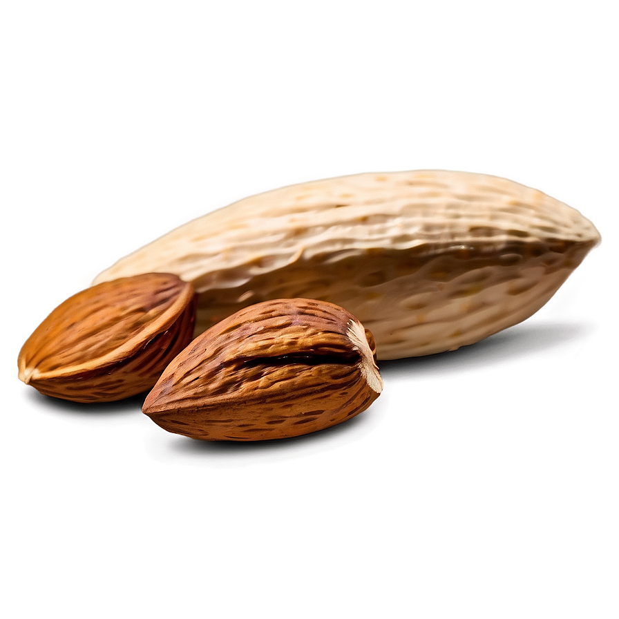 Almond Piece Png 05242024 PNG image