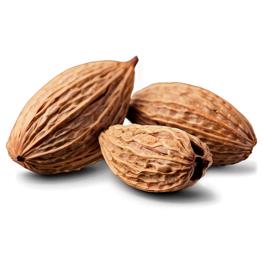 Almond Texture Png Ulv6 PNG image